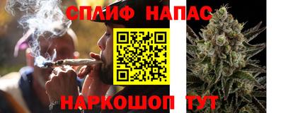 PSILOCYBIN Рыбинск