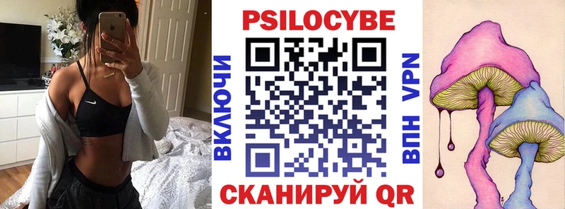 где найти наркотики  Георгиевск  Псилоцибиновые грибы мицелий 