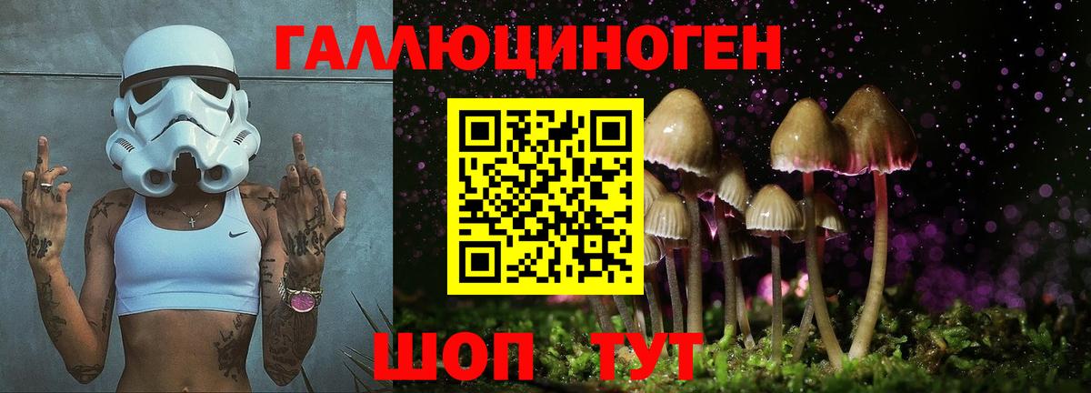 Псилоцибиновые грибы GOLDEN TEACHER  Вход с VPN  Георгиевск 